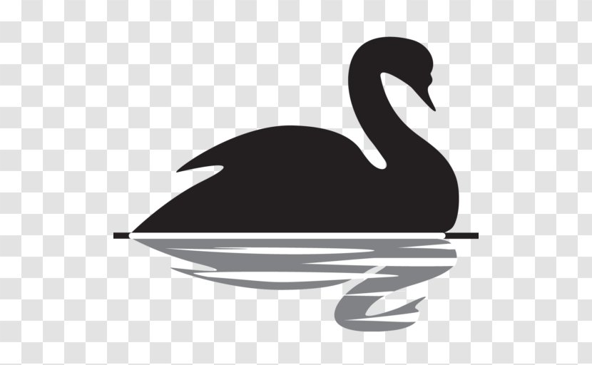 The Black Swan: Impact Of Highly Improbable Lebanon Swan Theory Finance - 2007 Transparent PNG