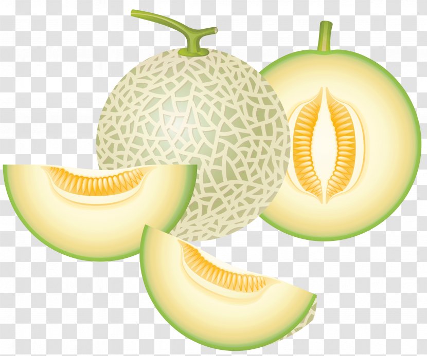 Honeydew Cantaloupe Melon Clip Art - Gourd Order - Clipart Transparent PNG