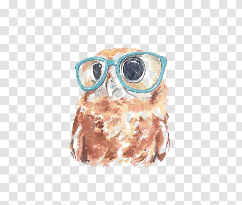 Owl Paper Watercolor Painting Transparent PNG