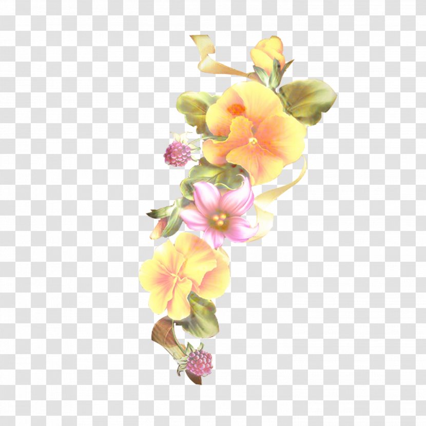 Sweet Pea Flower - Moth Orchid Transparent PNG
