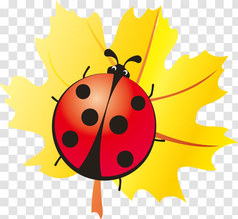 Ladybird Beetle - Leaf - Maple Ladybug Handle Elements Transparent PNG