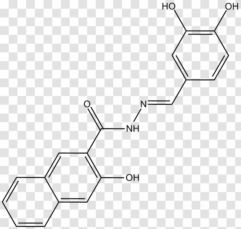 Phosphoinositide 3-kinase Enzyme Inhibitor Protein Kinase B Receptor Cell Membrane - Symmetry - Monochrome Transparent PNG