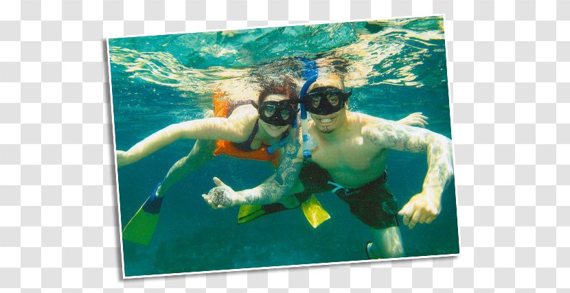 Snorkeling Underwater Animal - Beach Bum Transparent PNG