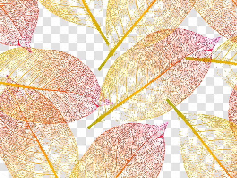 Vector Leaf Shading - Petal - Royalty Free Transparent PNG