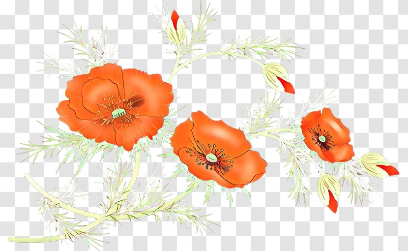 Drawing Of Family - Corn Poppy - Wildflower Anemone Transparent PNG
