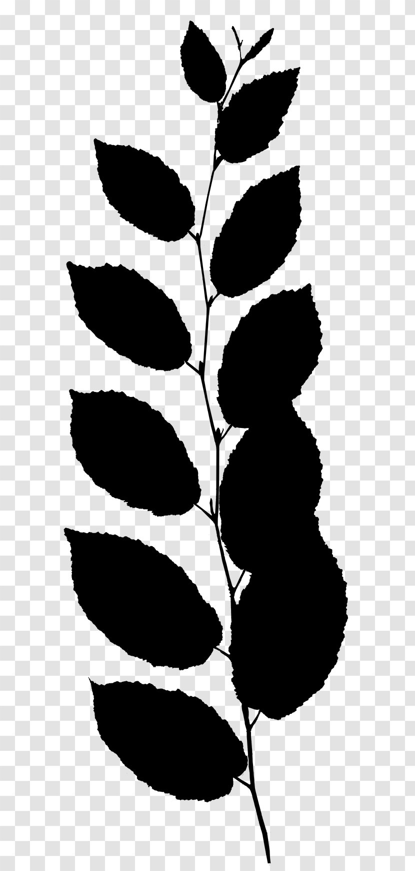 Flower Plant Stem Leaf Clip Art Line - Vascular Transparent PNG