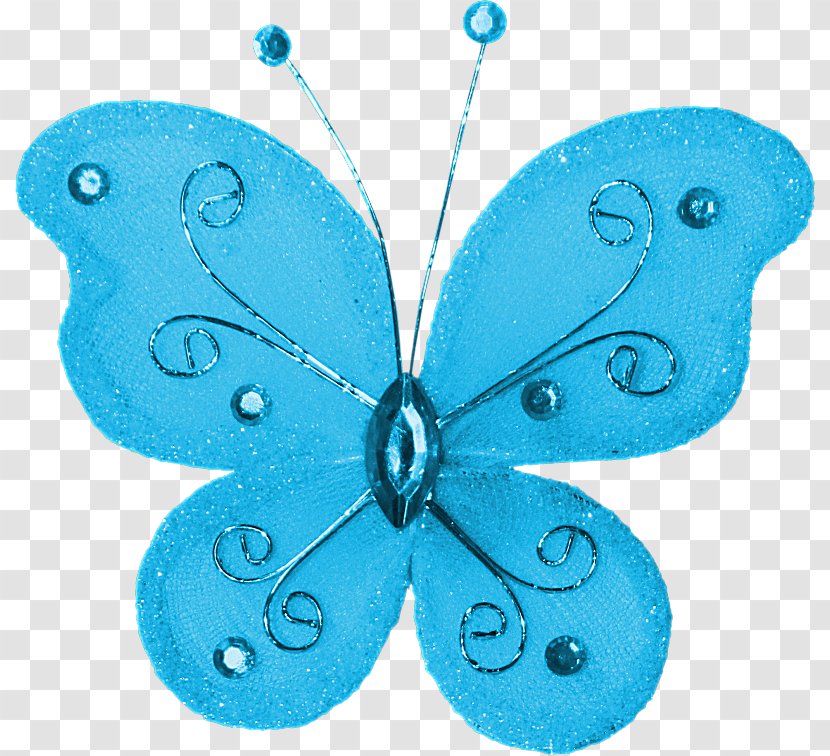 Download - Invertebrate - Blue Butterfly Transparent PNG