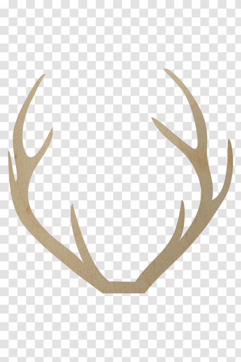 Red Deer Antler Reindeer Elk - Roe Transparent PNG