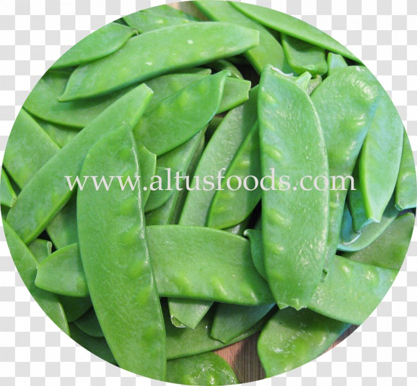 Vegetarian Cuisine Lima Bean Snap Pea Vegetable - Peas Transparent PNG