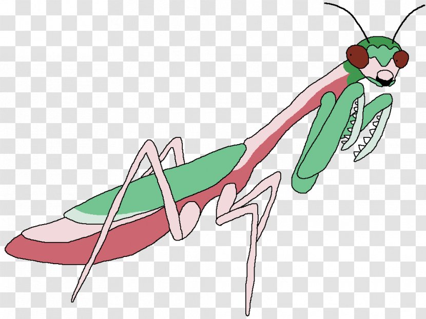 Mantis Illustration Clip Art Insect Product Design - Grasshopper Transparent PNG