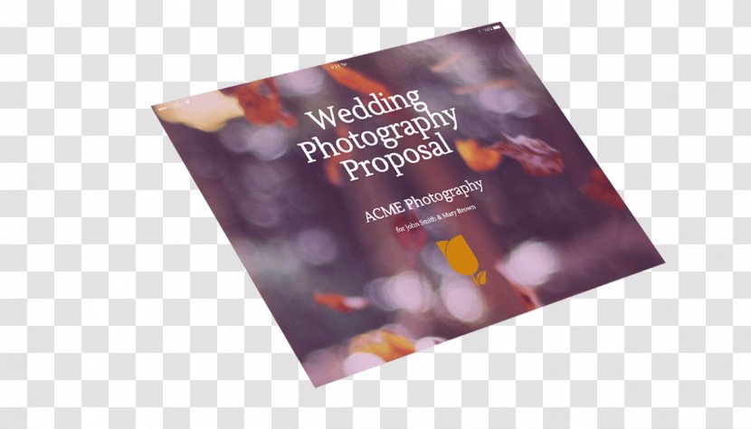 Marriage Proposal Photography Wedding Research Transparent PNG