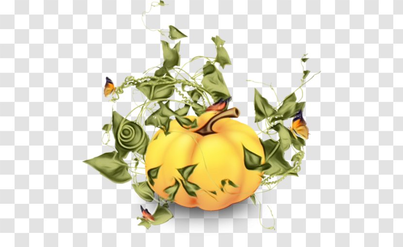 Halloween Orange Background - Vegetarian Food - Flower Tangerine Transparent PNG