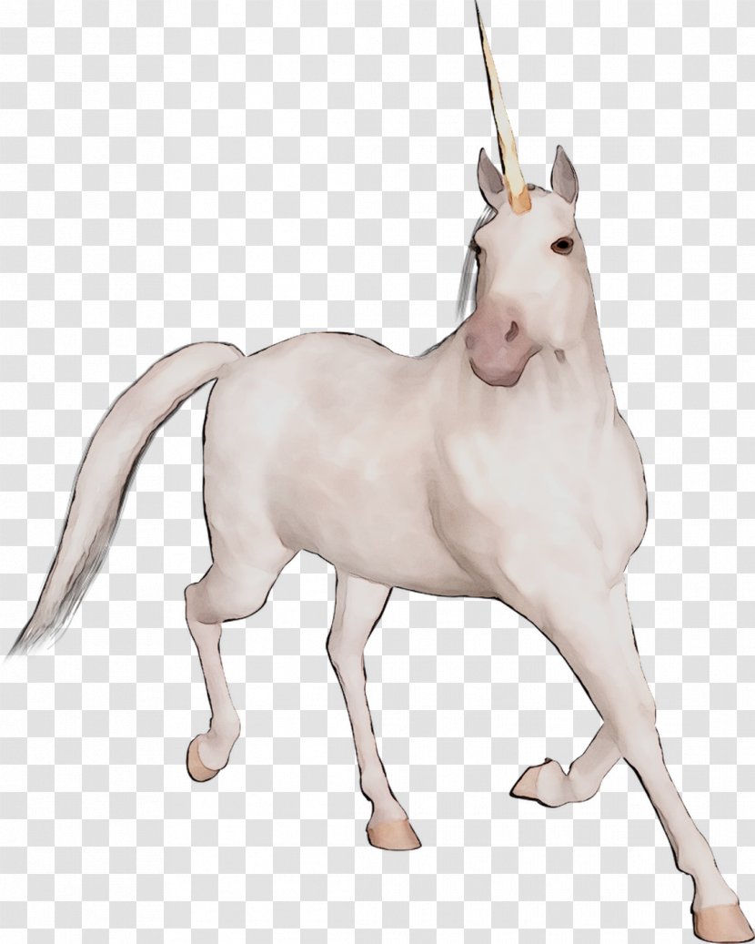 Mustang Unicorn Pack Animal Naturism Horse Transparent PNG