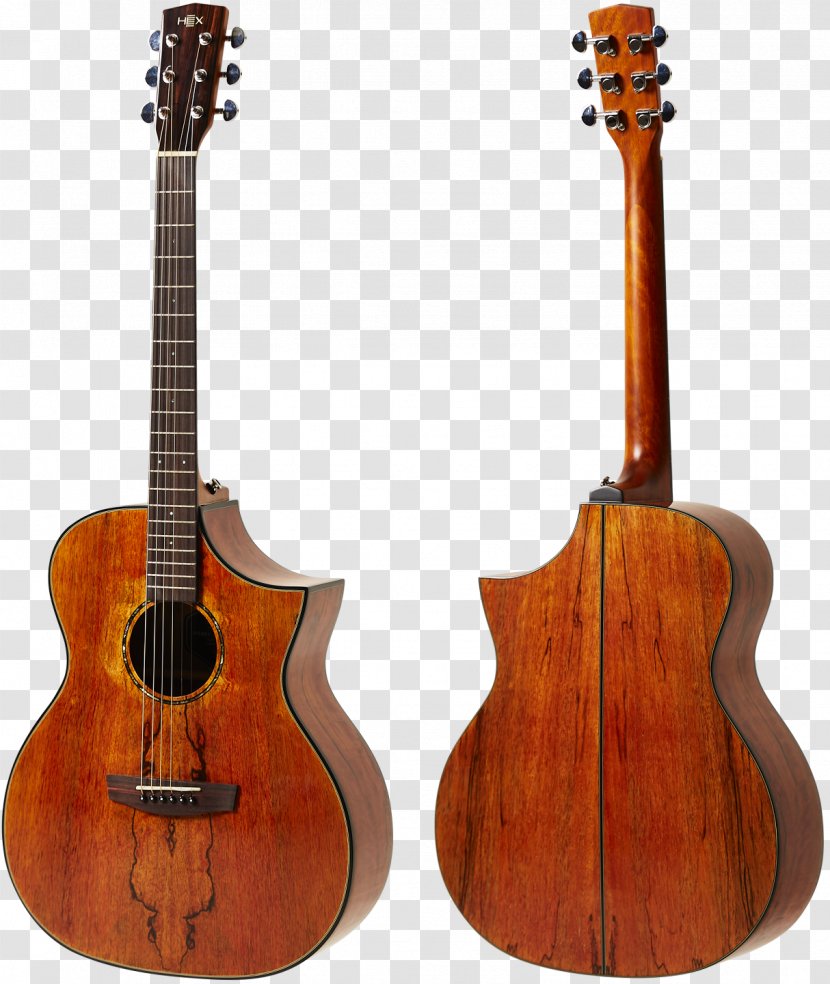 Takamine Guitars Acoustic-electric Guitar Acoustic Musical Instruments - Frame Transparent PNG