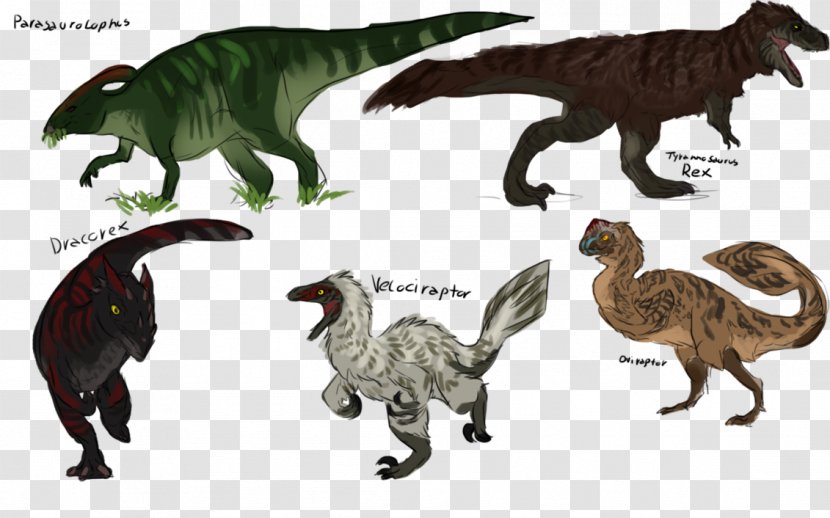 Velociraptor Tyrannosaurus Oviraptor Mosasaurus Yutyrannus - Organism - Dinosaur Transparent PNG