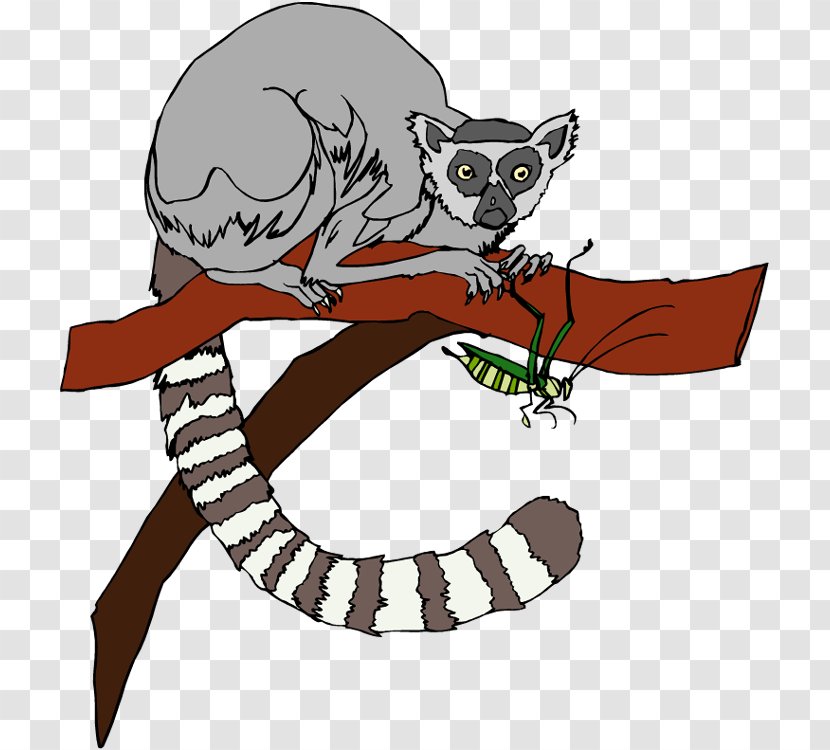 Ring-tailed Lemur Primate Clip Art - Mythical Creature - Cliparts Transparent PNG