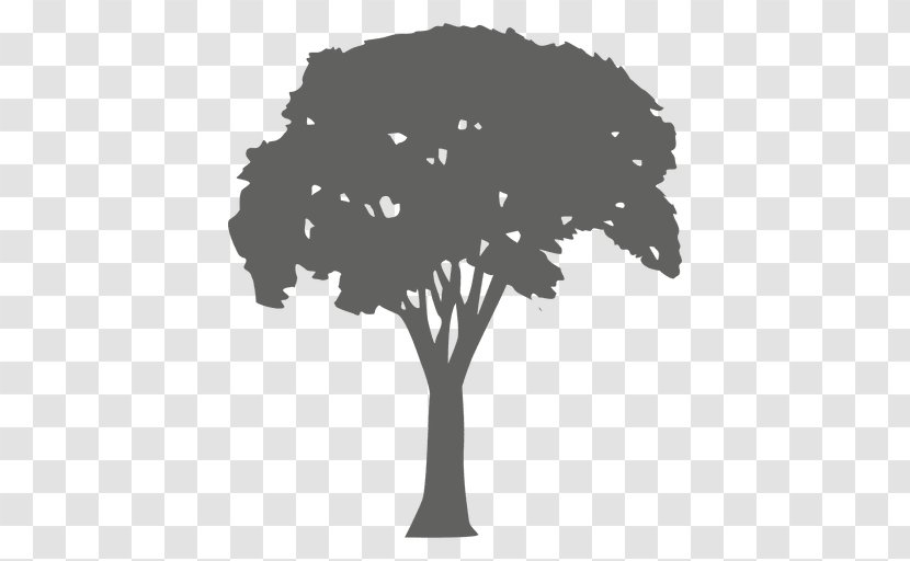 Silhouette Tree Photography - Of Life - Arboles Transparent PNG