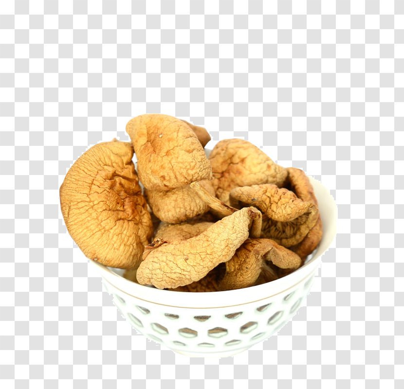 Kombucha Mushroom Fungus Food Drying - Vecteur - Dried Mushrooms Transparent PNG