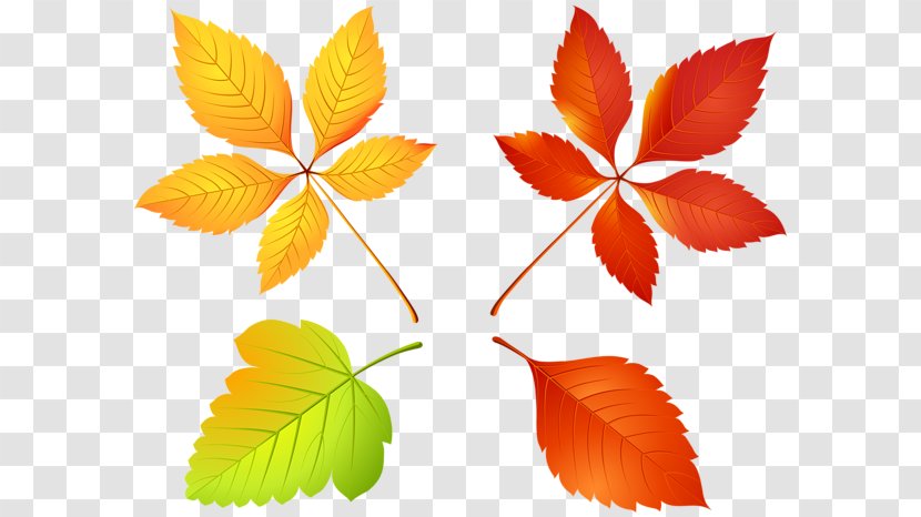 Maple Leaf Clip Art Vector Graphics - Orange - Leaves Set Transparent PNG