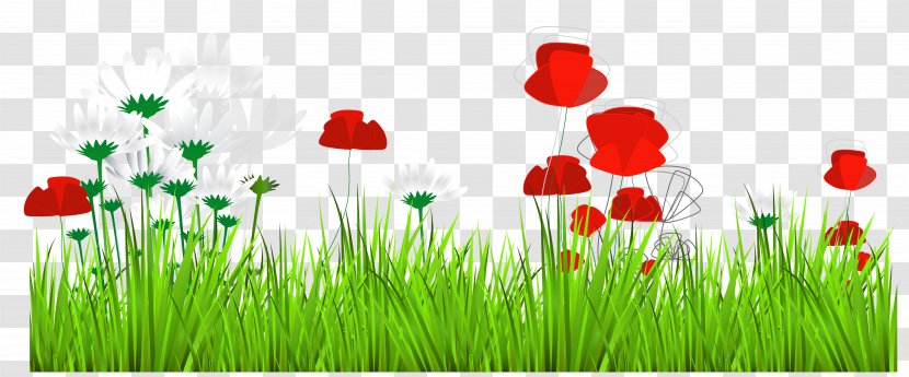 Flower Download Clip Art Transparent PNG