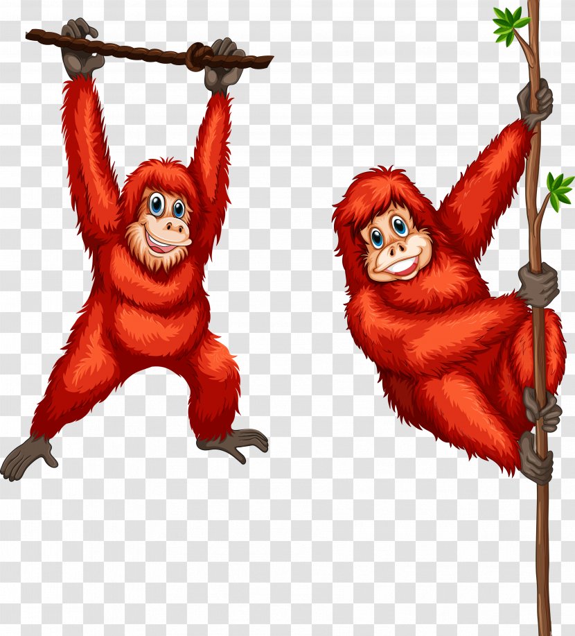 Orangutan Stock Photography Illustration - Orangutans Transparent PNG