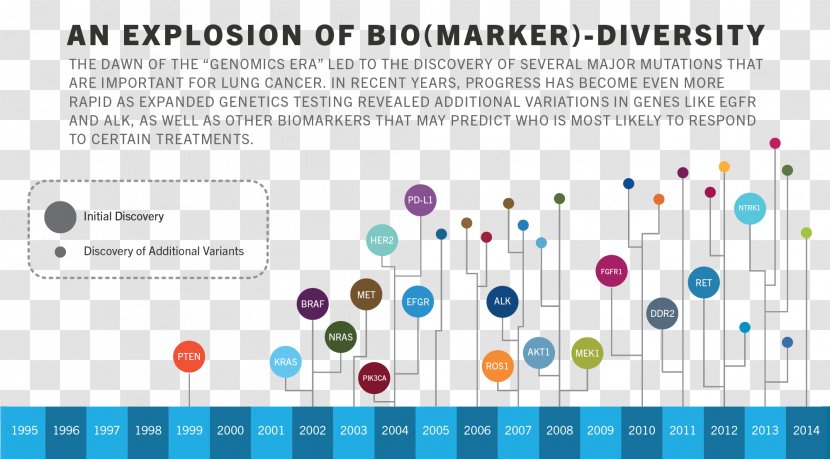 Lung Cancer Genetics Biomarkers Transparent PNG
