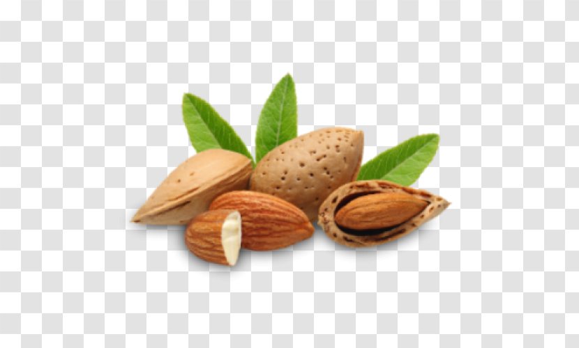 Almond Oil Carrier Milk - Tree Nuts Transparent PNG