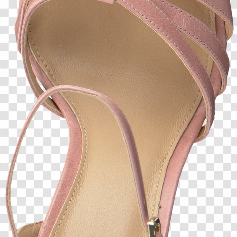 Sandal Shoe Pink M Hardware Pumps Transparent PNG