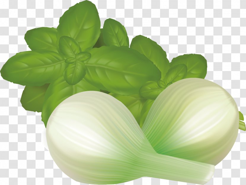 Leaf Vegetable Mint - Vegetarian Food - Green Leaves And Onion Material Transparent PNG