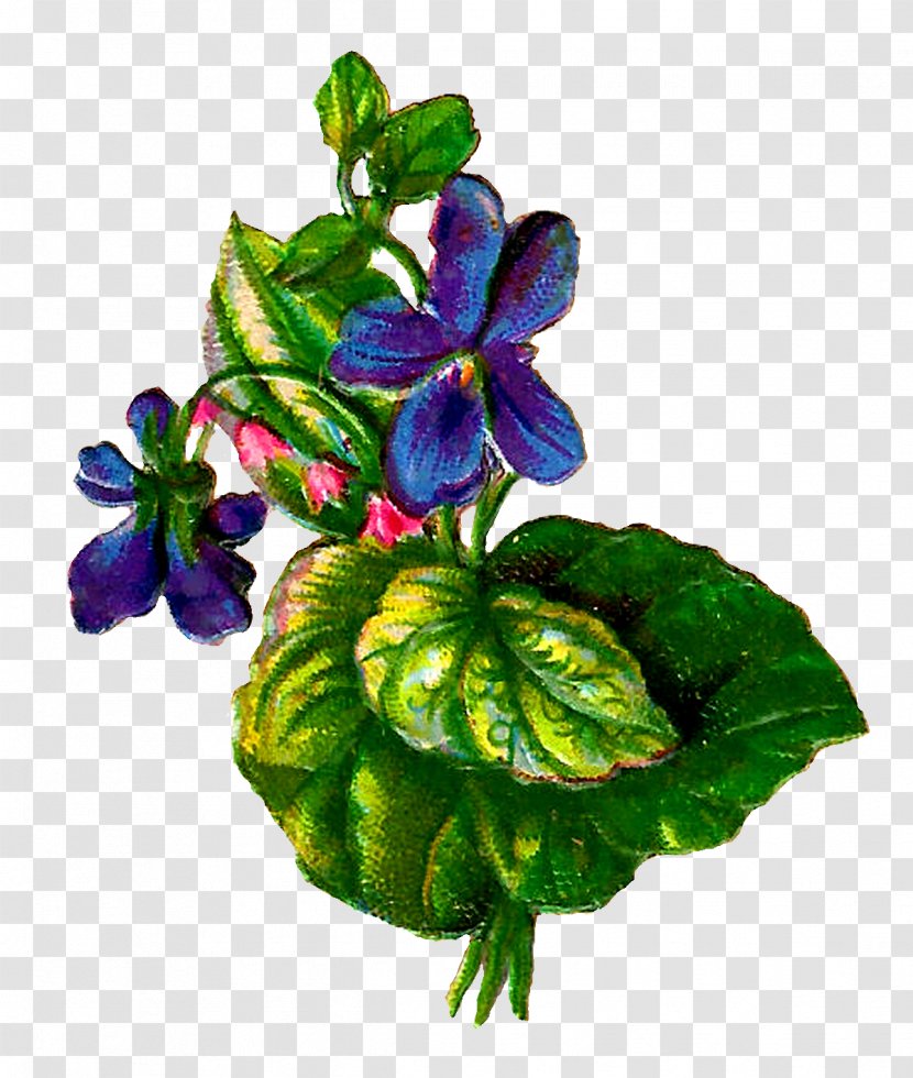 Paper Flower Violet Clip Art - Floral Design - Botanical Transparent PNG