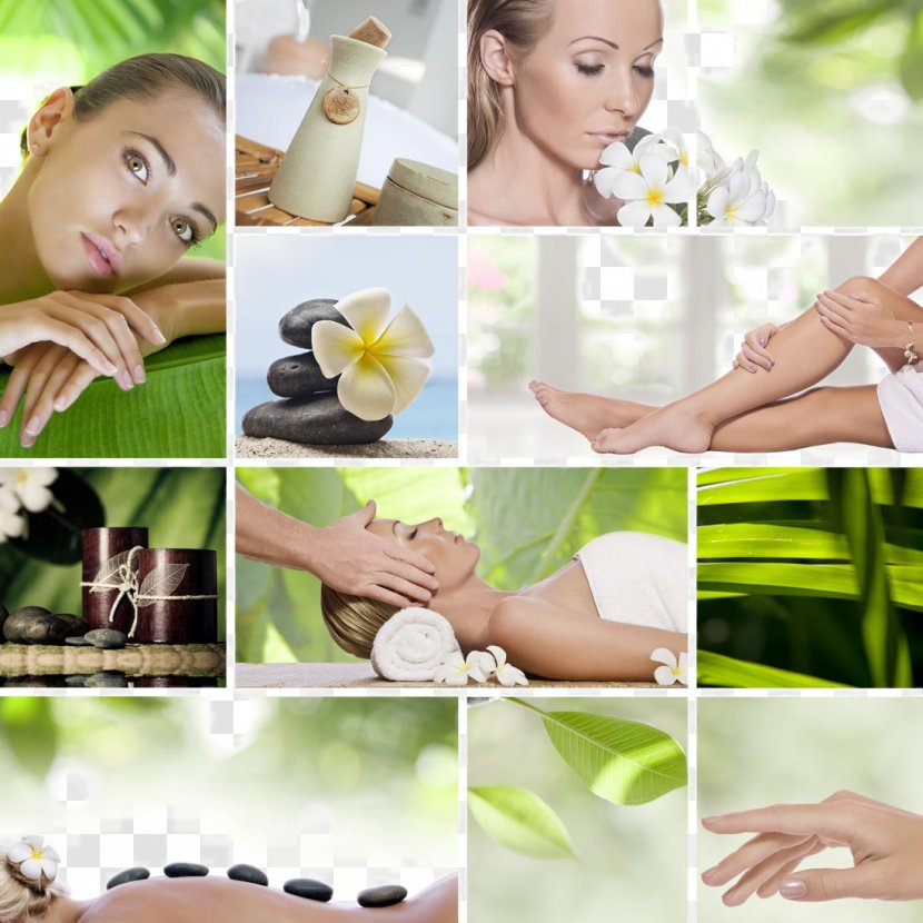 Aesthetics Beauty Parlour Massage Eko Center Centro Estetico - Floristry - SPA Health Material Transparent PNG