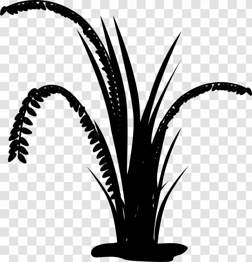 Date Palm Black & White - Flower - M Trees Leaf Plant Stem Transparent PNG