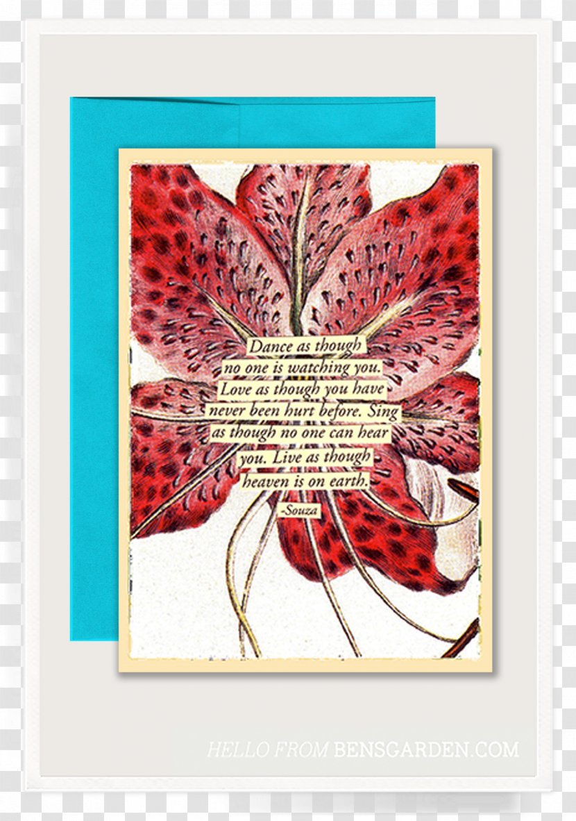 Paper Ben's Garden Greeting & Note Cards Floral Design - Flower Arranging - Stargazer Lily Transparent PNG