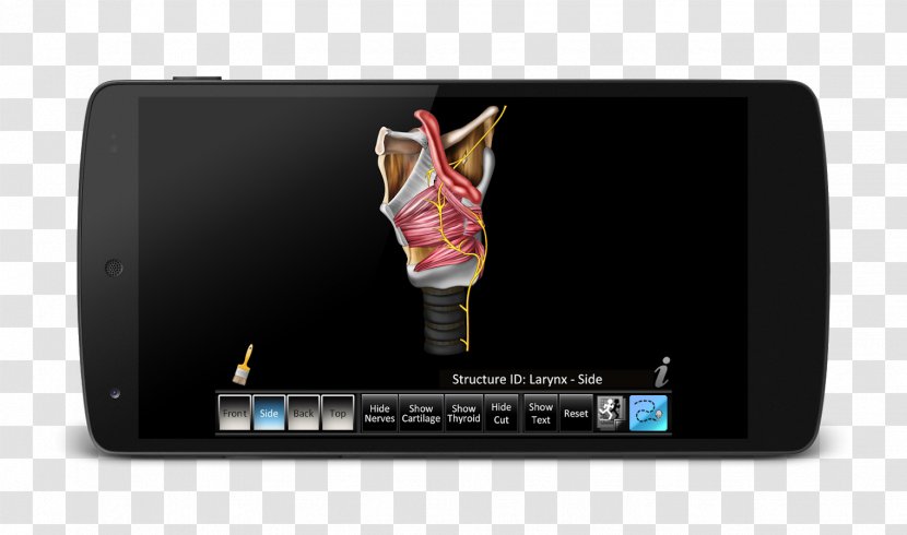 Android IPhone App Store - Computer Accessory Transparent PNG