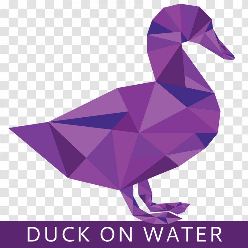 Duck Mallard User - Anatidae - Text Bottom Image Transparent PNG