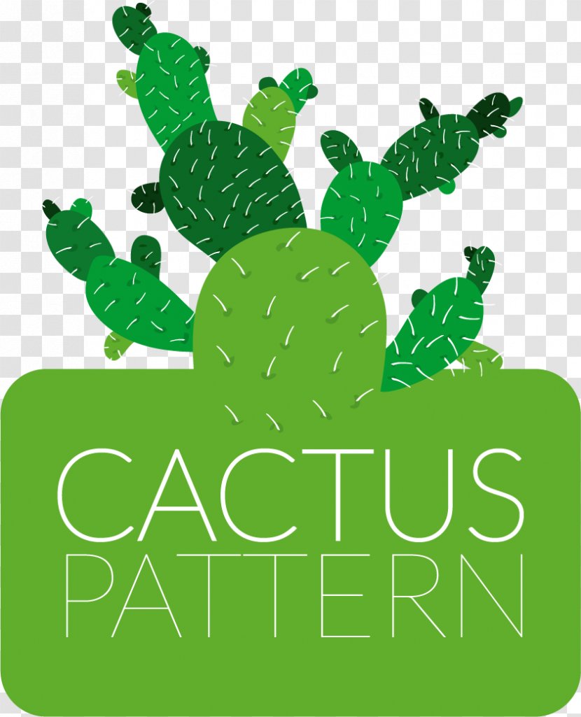 Cactus Flowers Drawing Cactaceae Clip Art - Area - Vector Green Transparent PNG