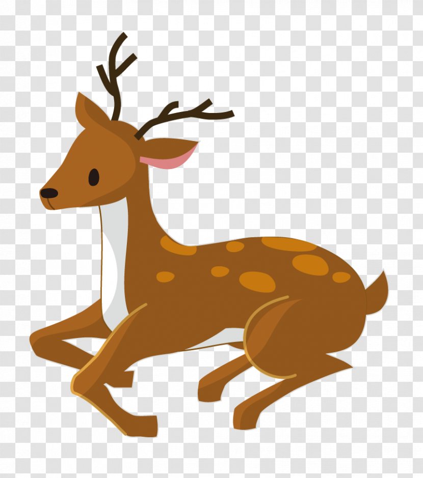 Reindeer Antler Wildlife Tail Clip Art - Mammal Transparent PNG