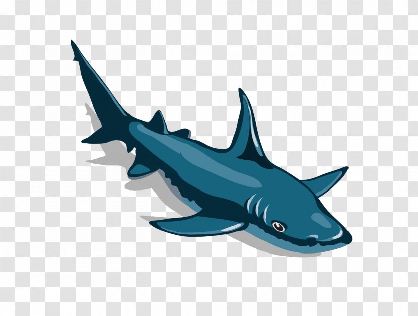 Great White Shark Cartoon Hammerhead Transparent PNG