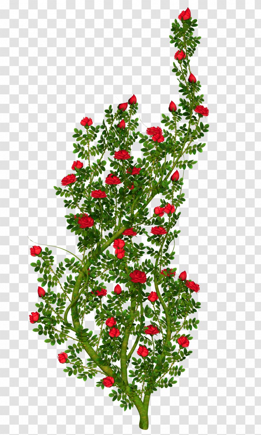 Floral Ornament Rose Clip Art - Branch - Bushes Transparent PNG