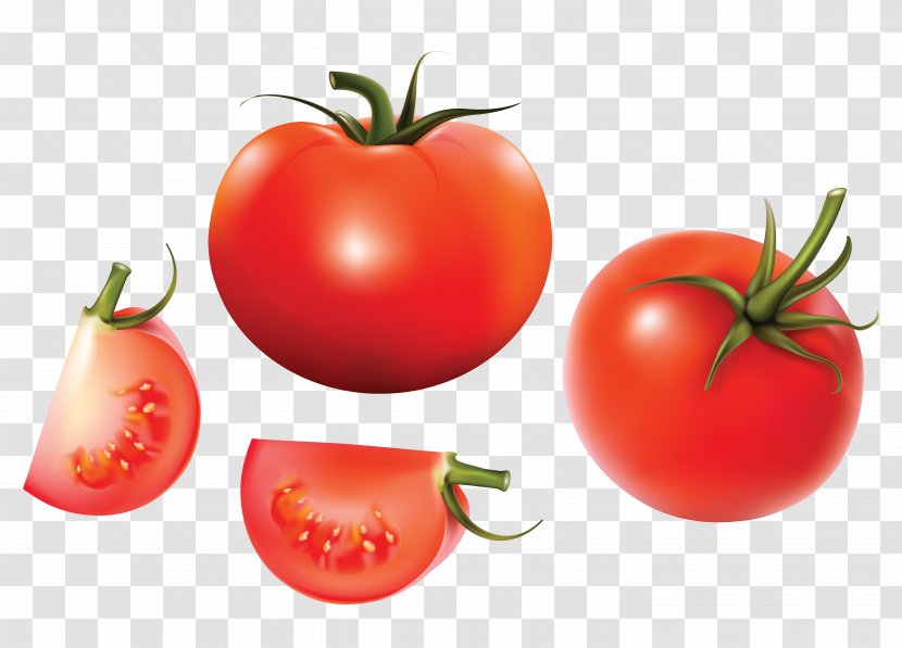 Tomato Soup Euclidean Vector Vegetable - Cartoon Tomatoes Transparent PNG