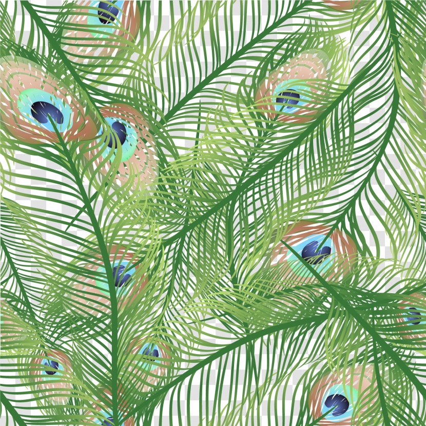 Feather Peafowl Euclidean Vector - Parakeet - Hand Painted Peacock Transparent PNG