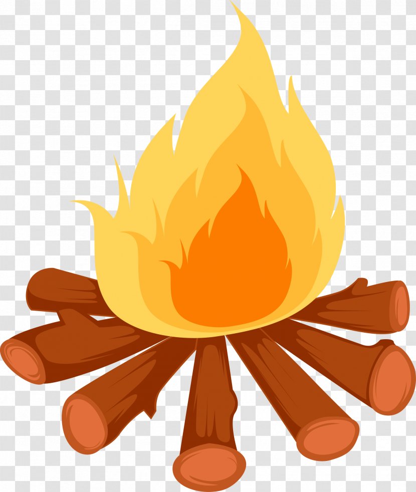 Clip Art Combustion Chemical Change Physical Fire - Flower Transparent PNG