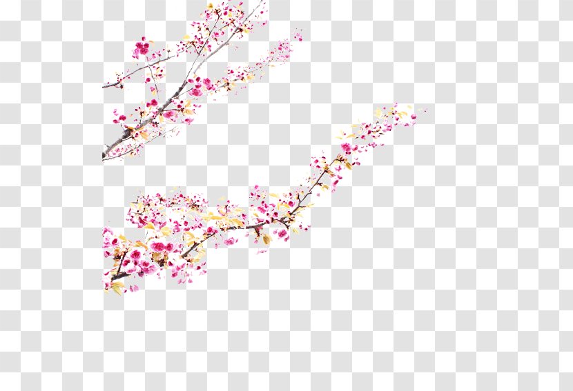 Cherry Blossom Pink M Petal ST.AU.150 MIN.V.UNC.NR AD Transparent PNG