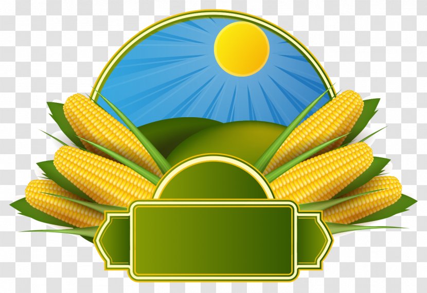 Corn On The Cob Maize Corncob Clip Art - Banana - MAIZE Vector Transparent PNG