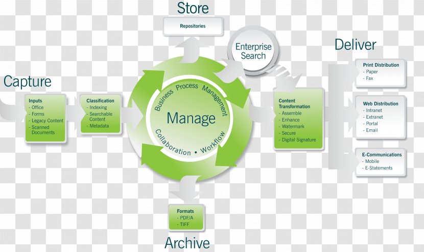 Paperless Office Digitization Document Management System Information - Organization - Software Development Lifecycle Transparent PNG