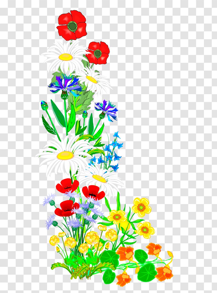 Floral Design Clip Art Cut Flowers Illustration Font - Kebab Transparent PNG