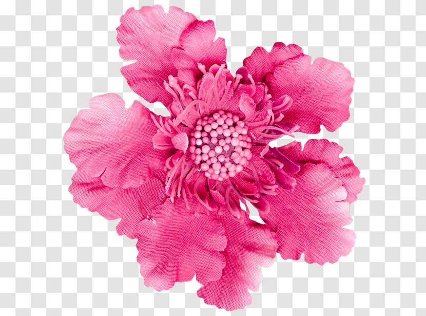 Carnation Stock Photography Pink Flowers Cut - Floristry - Flower Image Transparent PNG