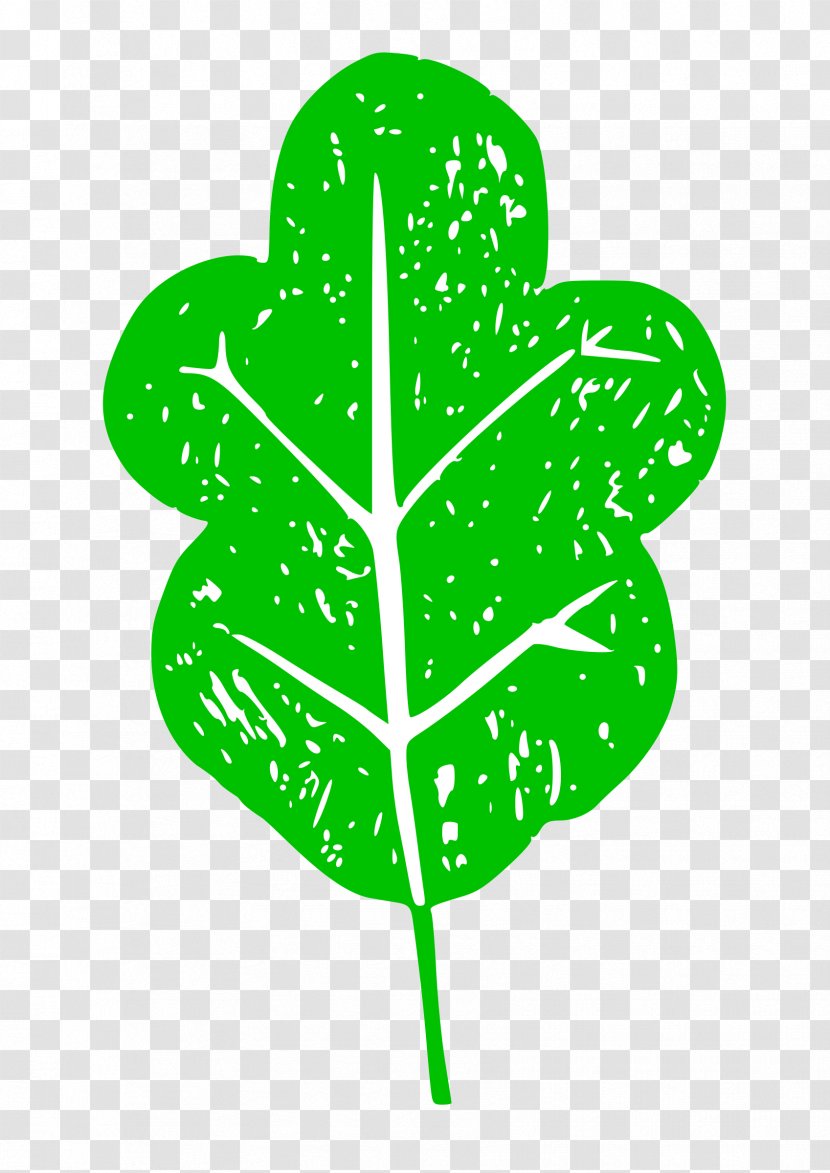Lettuce Royalty-free Clip Art - Grass Transparent PNG