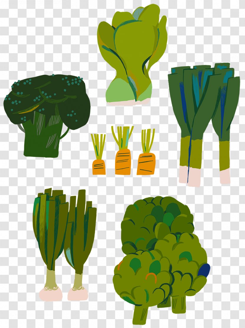Illustration Vegetable Food Drawing Clip Art - Greens Transparent PNG