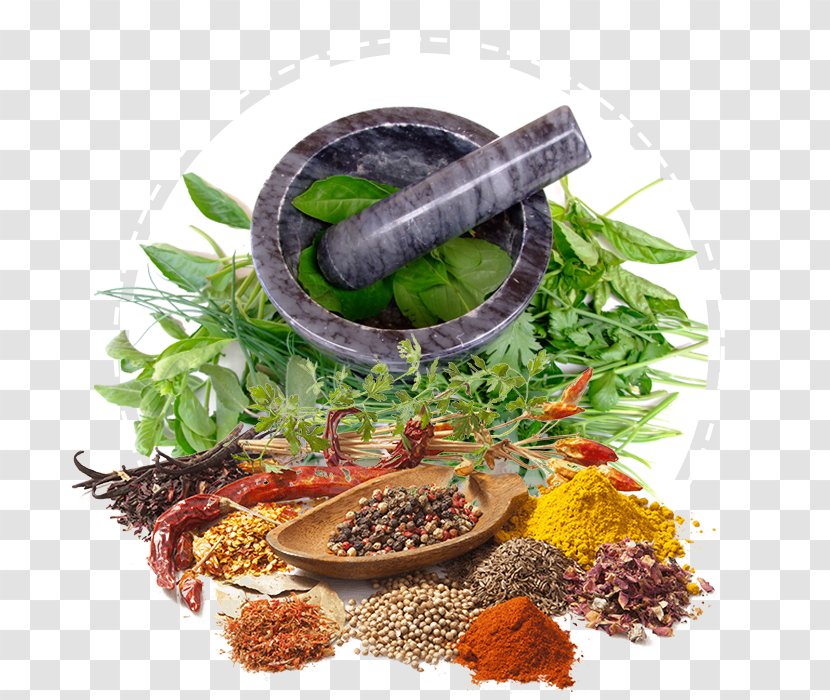 Herbalism Medicine Alternative Health Services Ayurveda - Spice - Herbal Transparent PNG